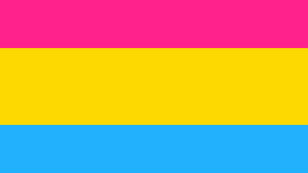what-does-pansexual-mean-the-difference-between-pansexual-and-bisexual-and-other-questions
