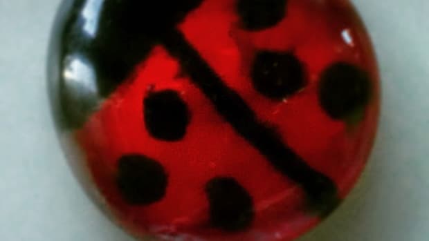 how-to-make-ladybug-fridge-magnets