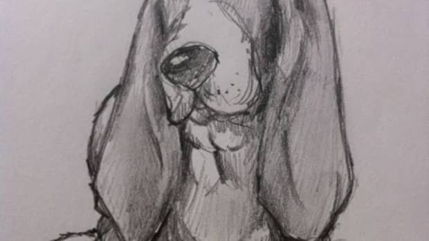 how-to-draw-a-basset-hound-dog