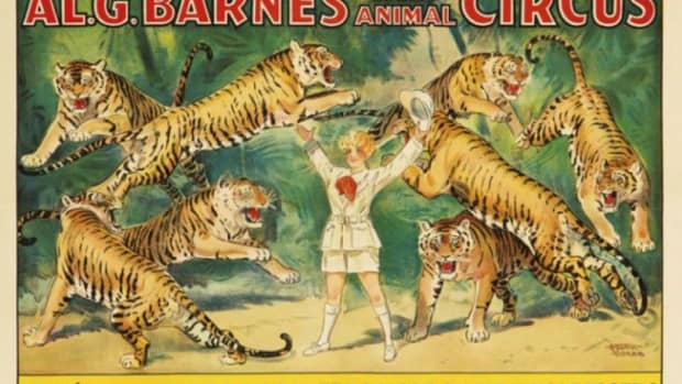 why-circus-fans-and-historians-should-see-this-documentary-mabel-mabel-tiger-trainer