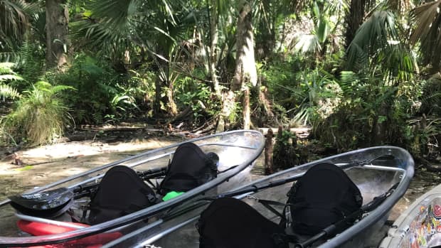 is-the-clear-kayak-tour-in-florida-really-worth-it