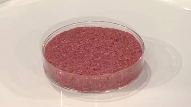 what-is-lab-grown-meat-and-is-it-safe