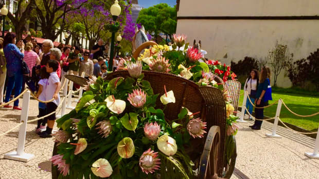 madeiras-wine-and-flower-festival-september