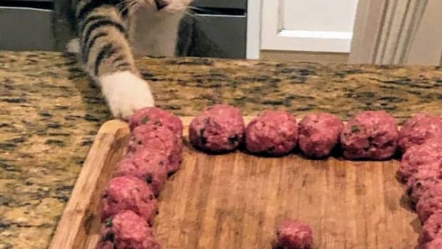 keep-your-paws-off-my-meatballs