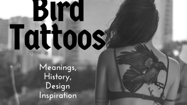 bird-tattoos-interpreted-what-various-birds-mean-represent