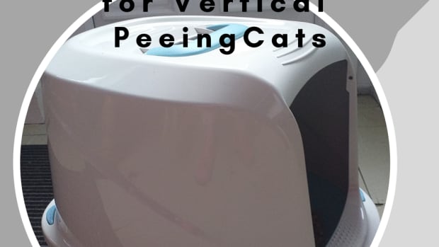 best-type-of-litter-box-for-a-vertical-peeing-cat