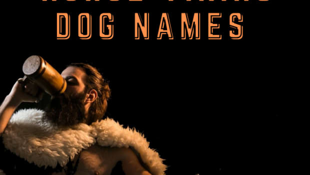 110-norse-viking-names-for-dogs-with-definitions