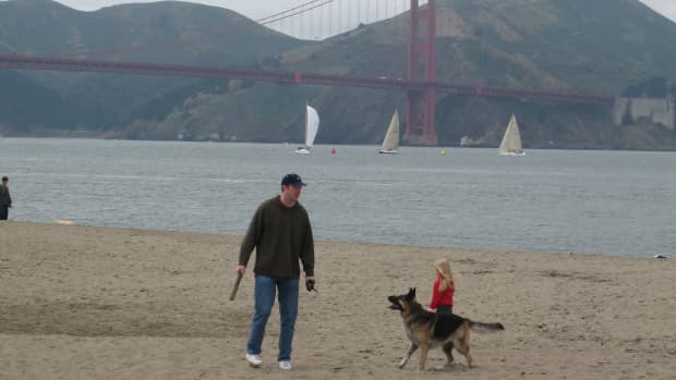 top_5_things_to_do_in_san_francisco_with_a_toddler