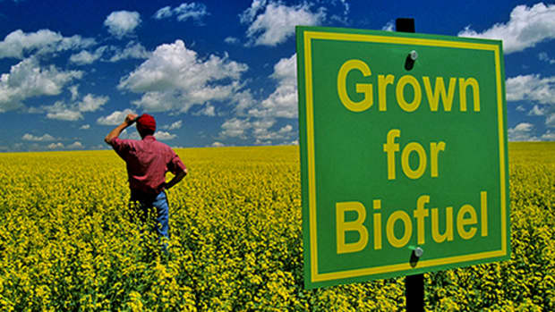 can-biofuels-replace-fossil-fuels