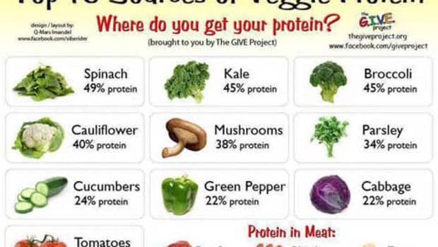 what-are-the-best-vegetable-protein-sources