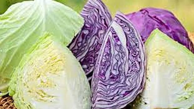 4-types-of-cabbage
