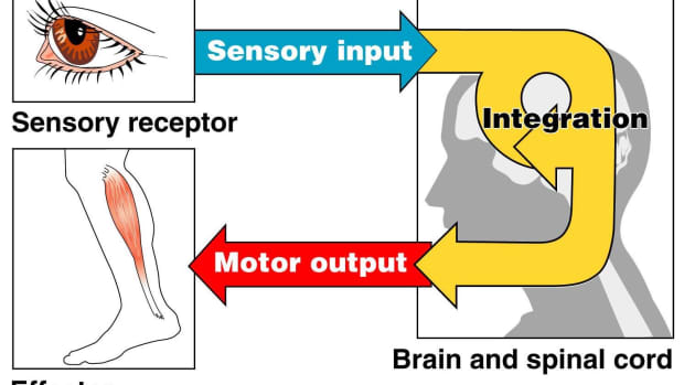 a-deeper-look-into-addressing-sensors-mis-adjustments