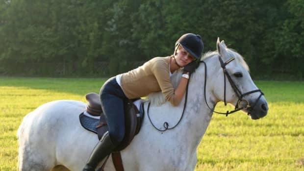 exploring-the-best-brands-in-equestrian-riding-apparel