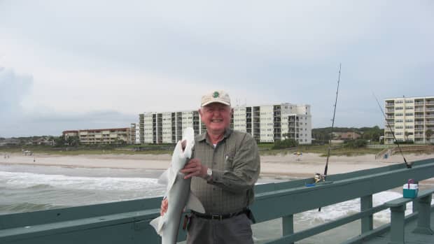   Learn to turn a shark into tasty fillets in my online cooking school! 