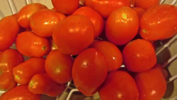 easy-way-freezing-tomatoes
