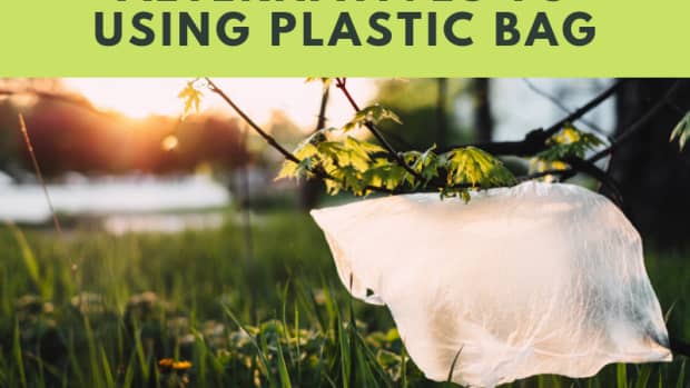 alternatives-to-using-plastic-bags