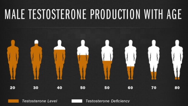 top-10-testosterone-rich-foods-how-to-boost-your-testosterone-levels-naturally