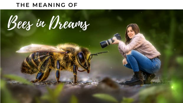 how-to-interpret-bees-as-dream-symbols