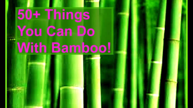 50-things-you-can-do-with-bamboo