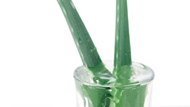 how-to-use-aloe-vera-for-everything