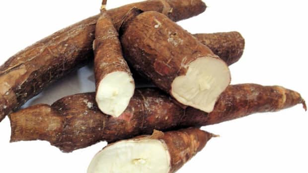 how-to-plant-and-harvest-cassava