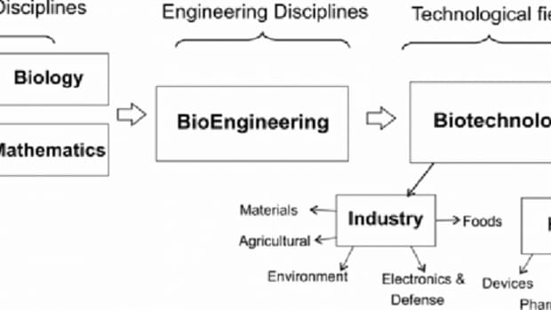 biochemical-engineering-introduction-history-scope-and-applications
