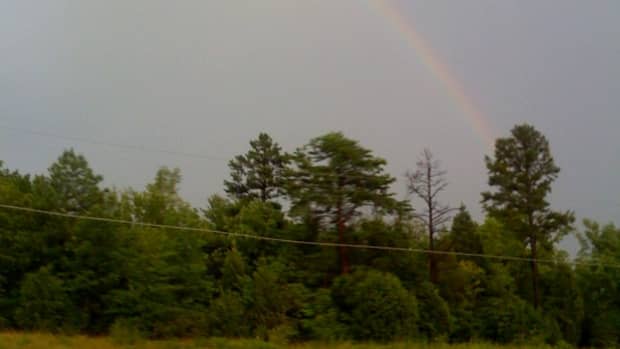 A rainbow just inside North Carolina on our way to my brothers house.