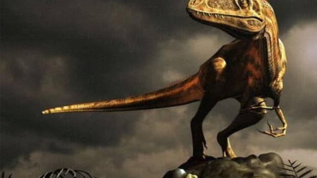 biggest-carnivore-dinosaurs