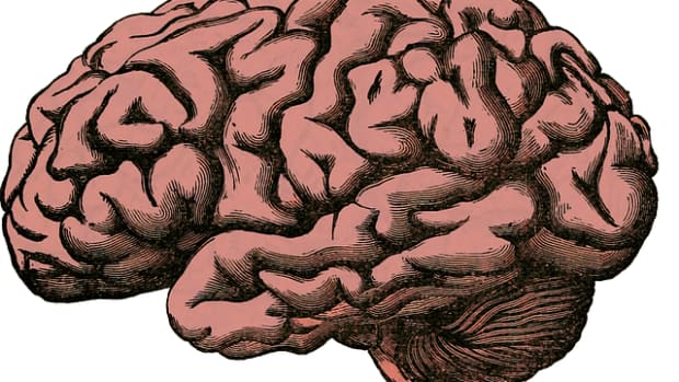 importance-of-dopamine-and-methods-to-improve-dopamine-naturally