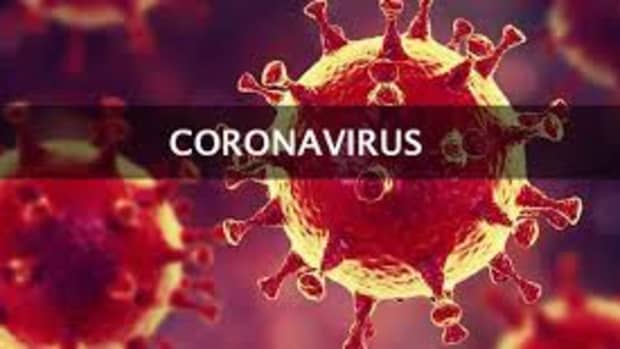 the-chinese-virus-novel-coronavirus-2019-ncov