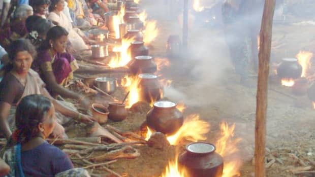 pungal-festival-of-south-india