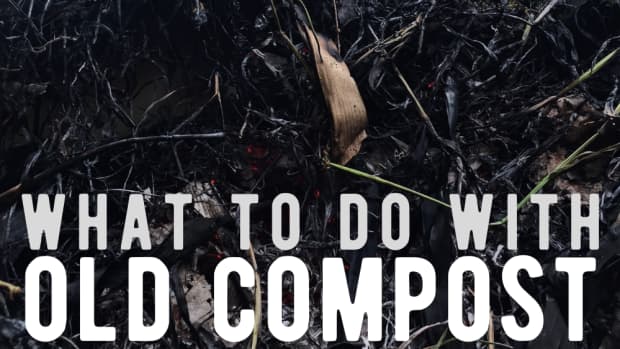 what-to-do-with-your-spent-and-used-compost