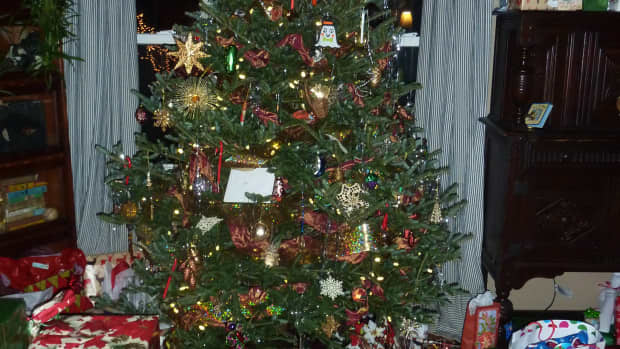 howtochoosestoreanddecoratealivecutchristmastree