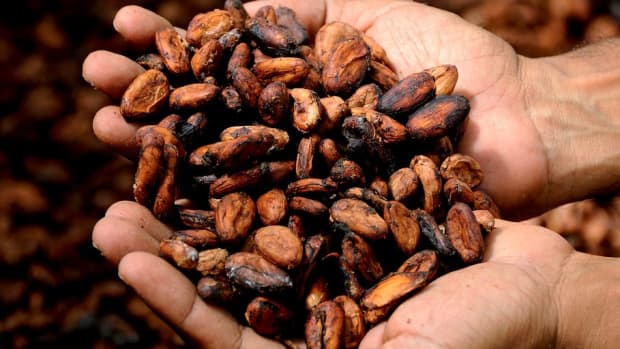 is-raw-cacao-dangerous-how-to-use-this-superfood-safely