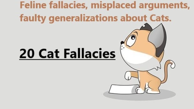 common-cat-fallacies