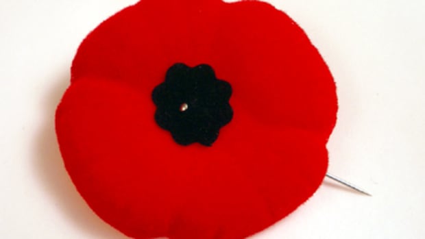 what-signifies-poppy-on-remembrance-day