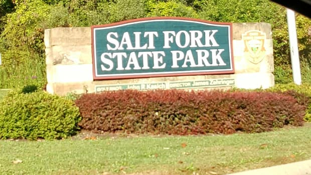 a-visitors-guide-to-salt-fork-state-park-in-southeast-ohio