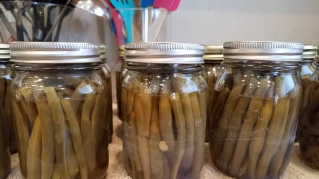 pressure-canning-green-beans