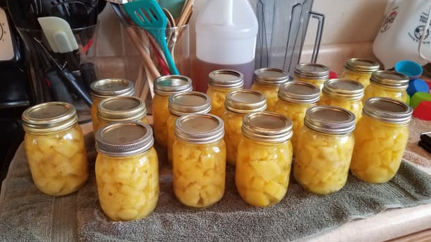 canning-pineapple-chunks-in-water