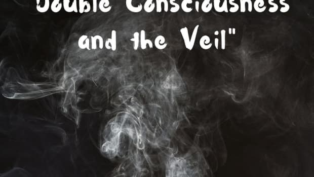 analysis-of-web-du-bois-double-consciousness-and-the-veil
