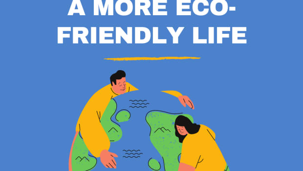 what-it-means-to-be-eco-friendly