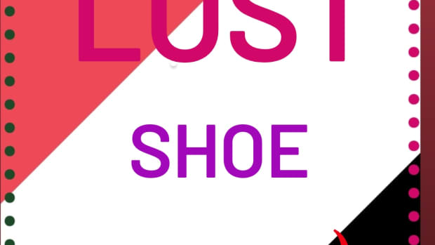 the-lost-shoe