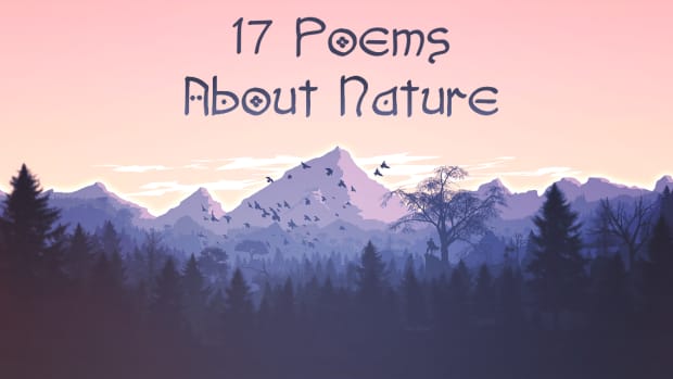 poetry-about-nature-four-elements-animal-poems-trees