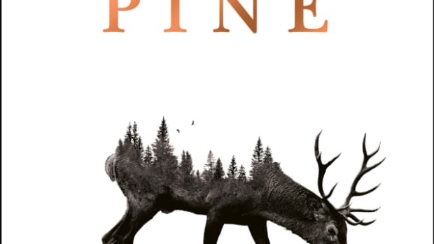 a-book-review-of-pine-by-francine-toon