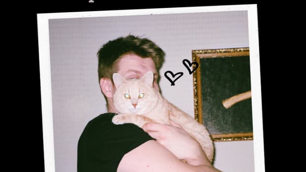 best-captions-for-selfies-with-cats