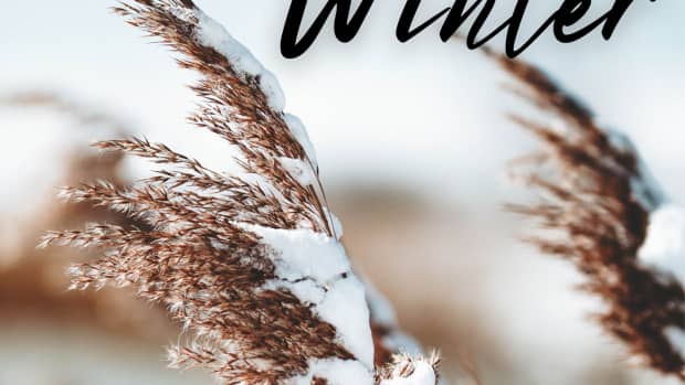 winter-idioms-and-adages