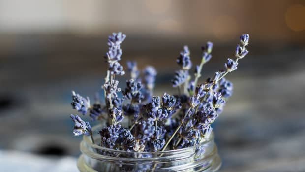 using-lavender-in-dreamwork