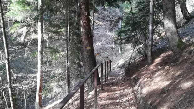 short-hikes-in-borjomi-georgia