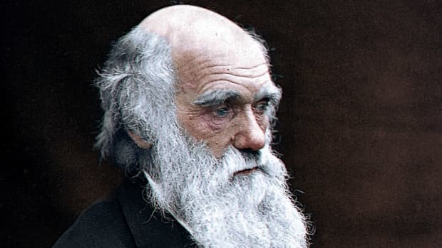 the-victorian-beard-craze