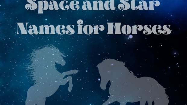 15-astronomy-names-for-horses